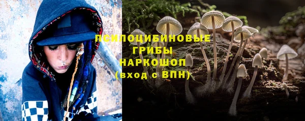 хмурый Навашино