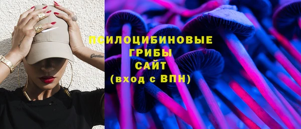 героин Горняк