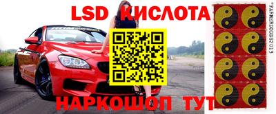 СК Ирбит