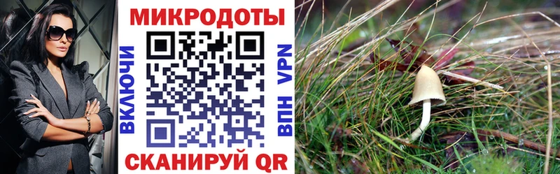 Псилоцибиновые грибы ЛСД Мценск