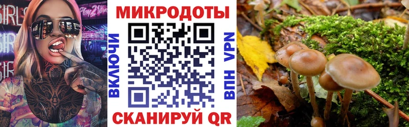 Псилоцибиновые грибы GOLDEN TEACHER  Мценск 