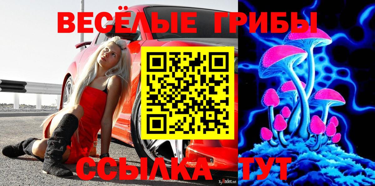 Галлюциногенные грибы ЛСД Мценск